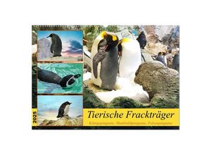 9783383954528 - Tierische Frackträger (Wandkalender 2025 DIN A2 quer) CALVENDO Monatskalender