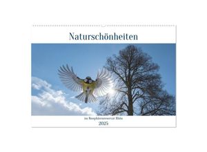 9783383954627 - Naturschönheiten im Biosphärerenreservat Rhön (Wandkalender 2025 DIN A2 quer) CALVENDO Monatskalender