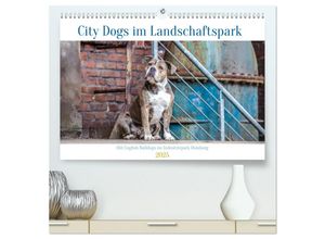 9783383956089 - City Dogs im Landschaftspark (hochwertiger Premium Wandkalender 2025 DIN A2 quer) Kunstdruck in Hochglanz