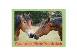 9783383956928 - Faszination Pferdefreundschaft (Wandkalender 2025 DIN A2 quer) CALVENDO Monatskalender