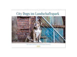 9783383956973 - City Dogs im Landschaftspark (Wandkalender 2025 DIN A3 quer) CALVENDO Monatskalender