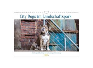 9783383957260 - City Dogs im Landschaftspark (Wandkalender 2025 DIN A4 quer) CALVENDO Monatskalender