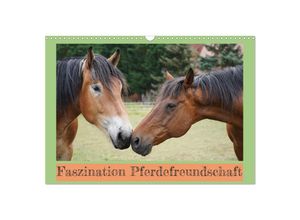 9783383957307 - Faszination Pferdefreundschaft (Wandkalender 2025 DIN A3 quer) CALVENDO Monatskalender