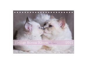 9783383959745 - Heilige Birma Kitten mit Planer (Tischkalender 2025 DIN A5 quer) CALVENDO Monatskalender