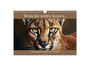 9783383960185 - Wenn die wilden Katzen leise durch ihr Revier streifen (Wandkalender 2025 DIN A4 quer) CALVENDO Monatskalender