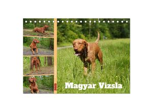 9783383961533 - Faszination Magyar Vizsla (Tischkalender 2025 DIN A5 quer) CALVENDO Monatskalender