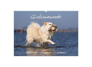 9783383963735 - Glücksmomente - Unterwegs mit meinem Islandhund (Wandkalender 2025 DIN A2 quer) CALVENDO Monatskalender