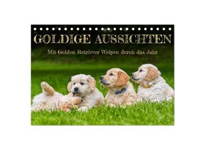 9783383963940 - Goldige Aussichten - Mit Golden Retriever Welpen durch das Jahr (Tischkalender 2025 DIN A5 quer) CALVENDO Monatskalender