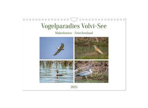 9783383965845 - Vogelparadies Volvi-See (Wandkalender 2025 DIN A4 quer) CALVENDO Monatskalender