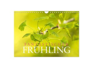 9783383966118 - Fantastischer Frühling (Wandkalender 2025 DIN A4 quer) CALVENDO Monatskalender