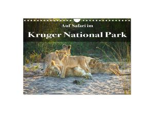 9783383967399 - Auf Safari im Kruger National Park (Wandkalender 2025 DIN A4 quer) CALVENDO Monatskalender