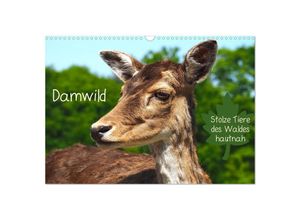 9783383967634 - Damwild - stolze Tiere des Waldes hautnah (Wandkalender 2025 DIN A3 quer) CALVENDO Monatskalender