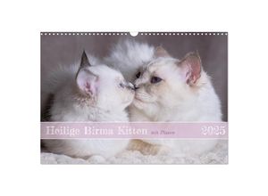 9783383967696 - Heilige Birma Kitten mit Planer (Wandkalender 2025 DIN A3 quer) CALVENDO Monatskalender