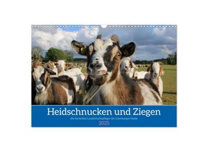 9783383969638 - Heidschnucken und Ziegen die tierischen Landschaftspfleger der Lüneburger Heide (Wandkalender 2025 DIN A3 quer) CALVENDO Monatskalender