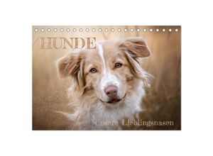 9783383969706 - Hunde - Unsere Lieblingsnasen (Tischkalender 2025 DIN A5 quer) CALVENDO Monatskalender