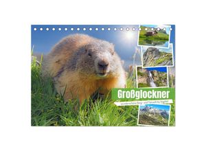 9783383971631 - Großglockner wunderschöne Berg- und Tierwelt (Tischkalender 2025 DIN A5 quer) CALVENDO Monatskalender