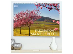 9783383971716 - FASZINATION MANDELBLÜTE (hochwertiger Premium Wandkalender 2025 DIN A2 quer) Kunstdruck in Hochglanz