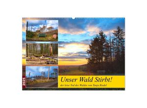 9783383971914 - Unser Wald Stirbt (Wandkalender 2025 DIN A2 quer) CALVENDO Monatskalender