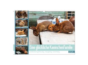 9783383972065 - Eine glückliche Kaninchenfamilie (Wandkalender 2025 DIN A3 quer) CALVENDO Monatskalender