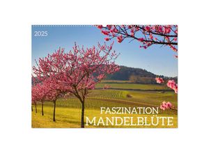 9783383972119 - FASZINATION MANDELBLÜTE (Wandkalender 2025 DIN A2 quer) CALVENDO Monatskalender