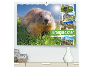 9783383972300 - Großglockner wunderschöne Berg- und Tierwelt (hochwertiger Premium Wandkalender 2025 DIN A2 quer) Kunstdruck in Hochglanz