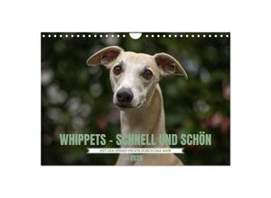 9783383974380 - WHIPPETS - SCHNELL UND SCHÖN (Wandkalender 2025 DIN A4 quer) CALVENDO Monatskalender