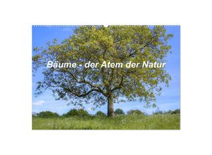 9783383974649 - Bäume der Atem der Natur (Wandkalender 2025 DIN A2 quer) CALVENDO Monatskalender 9783383974649 - Bäume der Atem der Natur (Wandkalender 2025 DIN A2 quer) CALVENDO Monatskalender