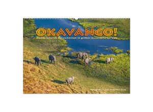 9783383974793 - Okavango! Atemberaubende Naturschönheit im größten Binnendelta der Welt (Wandkalender 2025 DIN A2 quer) CALVENDO Monatskalender