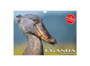 9783383974885 - UGANDA - Perle Afrikas (Wandkalender 2025 DIN A4 quer) CALVENDO Monatskalender