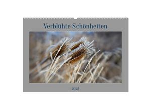 9783383975707 - Verblühte Schönheiten (Wandkalender 2025 DIN A2 quer) CALVENDO Monatskalender