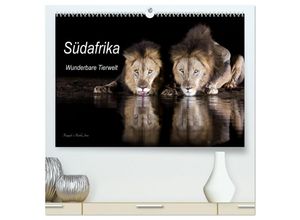 9783383975806 - Südafrika wunderbare Tierwelt (hochwertiger Premium Wandkalender 2025 DIN A2 quer) Kunstdruck in Hochglanz