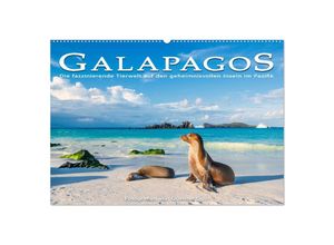 9783383975837 - Die faszinierende Tierwelt der Galapagos-Inseln (Wandkalender 2025 DIN A2 quer) CALVENDO Monatskalender