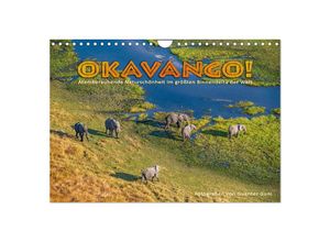 9783383975882 - Okavango! Atemberaubende Naturschönheit im größten Binnendelta der Welt (Wandkalender 2025 DIN A4 quer) CALVENDO Monatskalender