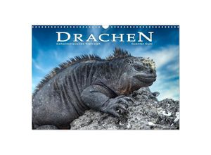 9783383975950 - Drachen Geheimnisvolles Tierreich (Wandkalender 2025 DIN A3 quer) CALVENDO Monatskalender