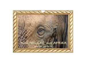 9783383976100 - Augenblicke aus Afrika (Wandkalender 2025 DIN A4 quer) CALVENDO Monatskalender