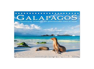 9783383976261 - Die faszinierende Tierwelt der Galapagos-Inseln (Tischkalender 2025 DIN A5 quer) CALVENDO Monatskalender