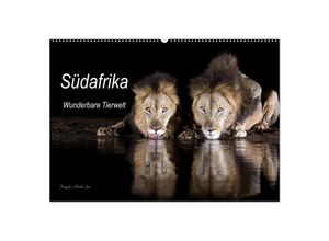 9783383976285 - Südafrika wunderbare Tierwelt (Wandkalender 2025 DIN A2 quer) CALVENDO Monatskalender