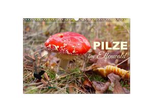 9783383976599 - Pilze im Elfenwald (Wandkalender 2025 DIN A3 quer) CALVENDO Monatskalender