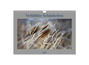 9783383976797 - Verblühte Schönheiten (Wandkalender 2025 DIN A4 quer) CALVENDO Monatskalender