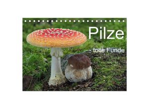 9783383976919 - Pilze - tolle Funde (Tischkalender 2025 DIN A5 quer) CALVENDO Monatskalender