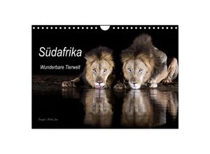 9783383976940 - Südafrika wunderbare Tierwelt (Wandkalender 2025 DIN A4 quer) CALVENDO Monatskalender