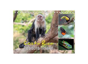 9783383977138 - Costa Rica - Tropische Tierwelt (Tischkalender 2025 DIN A5 quer) CALVENDO Monatskalender