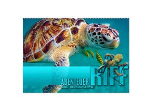 9783383978388 - Abenteuer Riff - bunte Unterwasserwelt (Wandkalender 2025 DIN A2 quer) CALVENDO Monatskalender