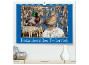 9783383979958 - Bezauberndes Federvieh (hochwertiger Premium Wandkalender 2025 DIN A2 quer) Kunstdruck in Hochglanz