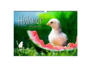 9783383981036 - Hühner im Garten (Wandkalender 2025 DIN A3 quer) CALVENDO Monatskalender