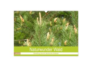 9783383981227 - Naturwunder Wald (Wandkalender 2025 DIN A3 quer) CALVENDO Monatskalender