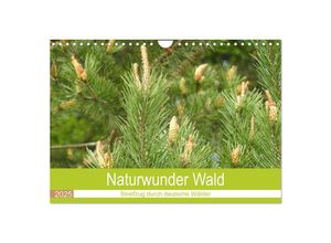 9783383981470 - Naturwunder Wald (Wandkalender 2025 DIN A4 quer) CALVENDO Monatskalender