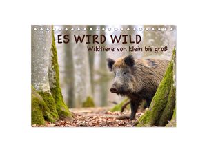 9783383982378 - ES WIRD WILD Wildtiere von klein bis groß (Tischkalender 2025 DIN A5 quer) CALVENDO Monatskalender