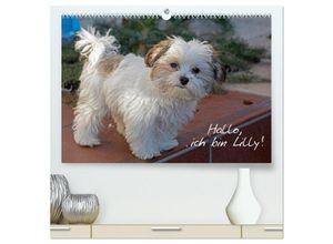 9783383982651 - Hallo ich bin Lilly (hochwertiger Premium Wandkalender 2025 DIN A2 quer) Kunstdruck in Hochglanz