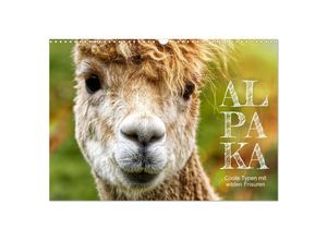 9783383983573 - Alpaka coole Typen mit wilden Frisuren (Wandkalender 2025 DIN A3 quer) CALVENDO Monatskalender